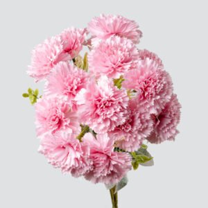 CARNATION BUNCH X14-PINK