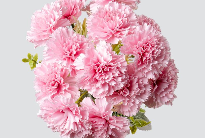 CARNATION BUNCH X14-PINK