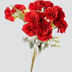 CARNATION BUNCH X14-RD