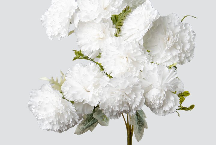 CARNATION BUNCH X14-WHITE