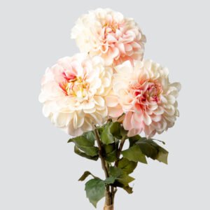 DAHLIA BALL BOUQUET X3-BLUSH