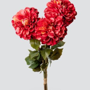 DAHLIA BALL BOUQUET X3-DK.CO