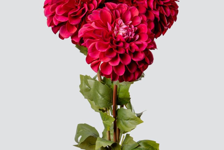 DAHLIA BALL BOUQUET X3-FU