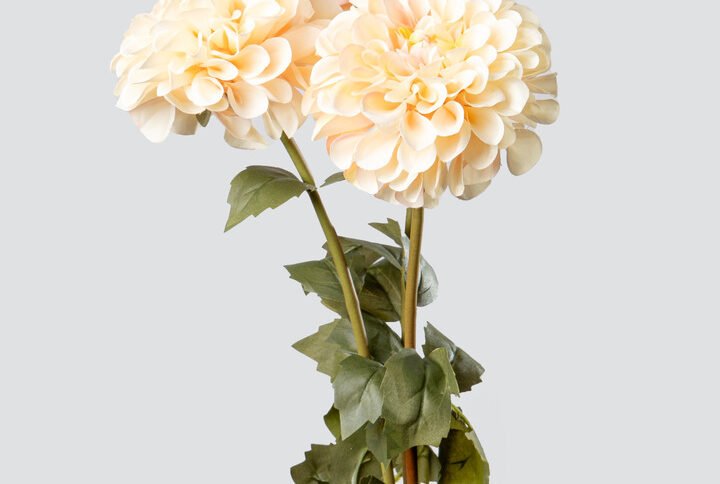 DAHLIA BALL BOUQUET X3-PE