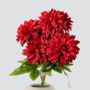 DAHLIA OPEN X9-RD