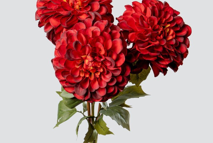 DAHLIA BALL BOUQUET X3-RED