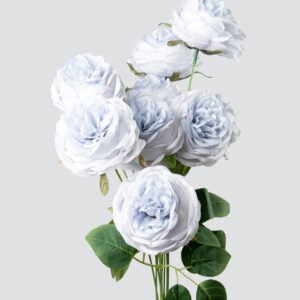 GARDEN ROSE BUNCH X10-DS.BLUE