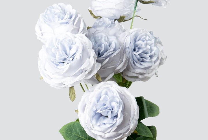 GARDEN ROSE BUNCH X10-DS.BLUE