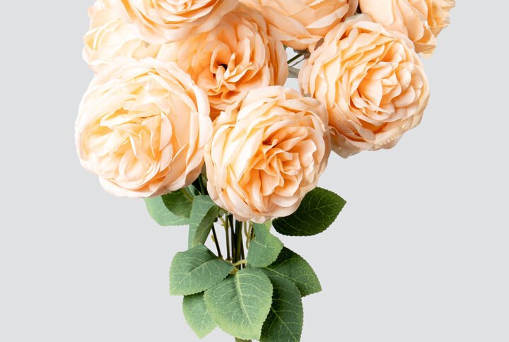 GARDEN ROSE BUNCH X10-PEACH