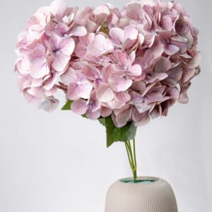 HYDRANGEA REAL TOUCH X5-AT.LV