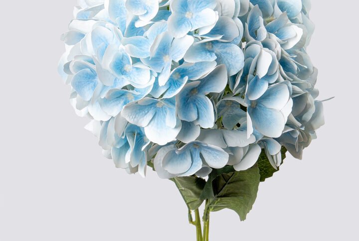 HYDRANGEA REAL TOUCH X5-BL