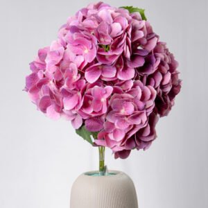 HYDRANGEA REAL TOUCH X5-DPI 1