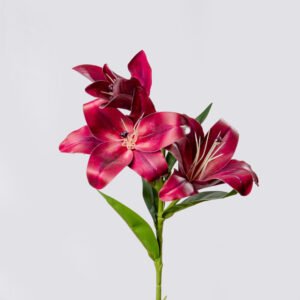 LILY 3D SX3-MR