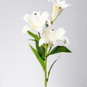 LILY 3D SX3-WH 1