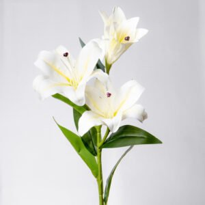 LILY 3D SX3-WH 2