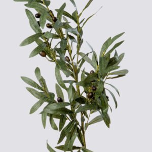 OLIVE LVS BRANCH W FRUITS L