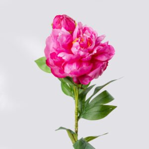 PEONY SGL X2 67CM-FU