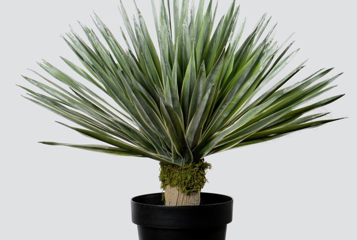 SISAL POT PLANT SOFT TOUCH-58CM