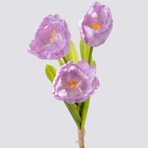 TULIP PARROT BQX3-LILAC 2